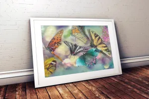 Butterfly Dance (Unframed Print)