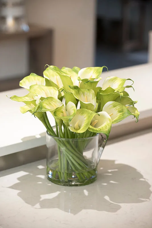 Calla Lily Stems in Glass 13"H