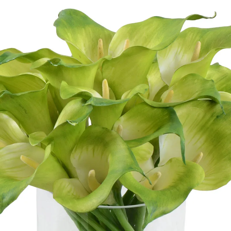 Calla Lily Stems in Glass 13"H