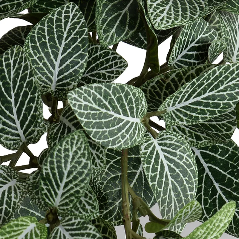 Fittonia (Mosaic) Plant in Glazed Clay Jar