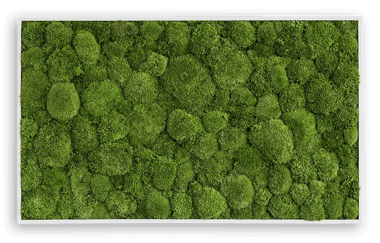 Forest Green Moss Wall Art (100x60cm)