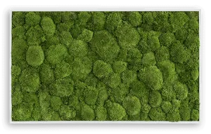 Forest Green Moss Wall Art (100x60cm)