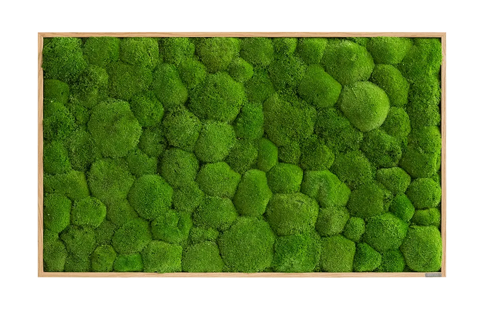 Forest Green Moss Wall Art (100x60cm)