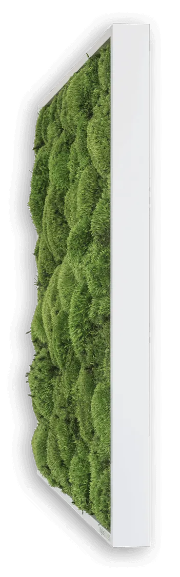 Forest Green Moss Wall Art (100x60cm)