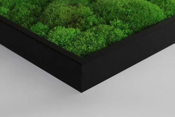 Forest Green Moss Wall Art (100x60cm)