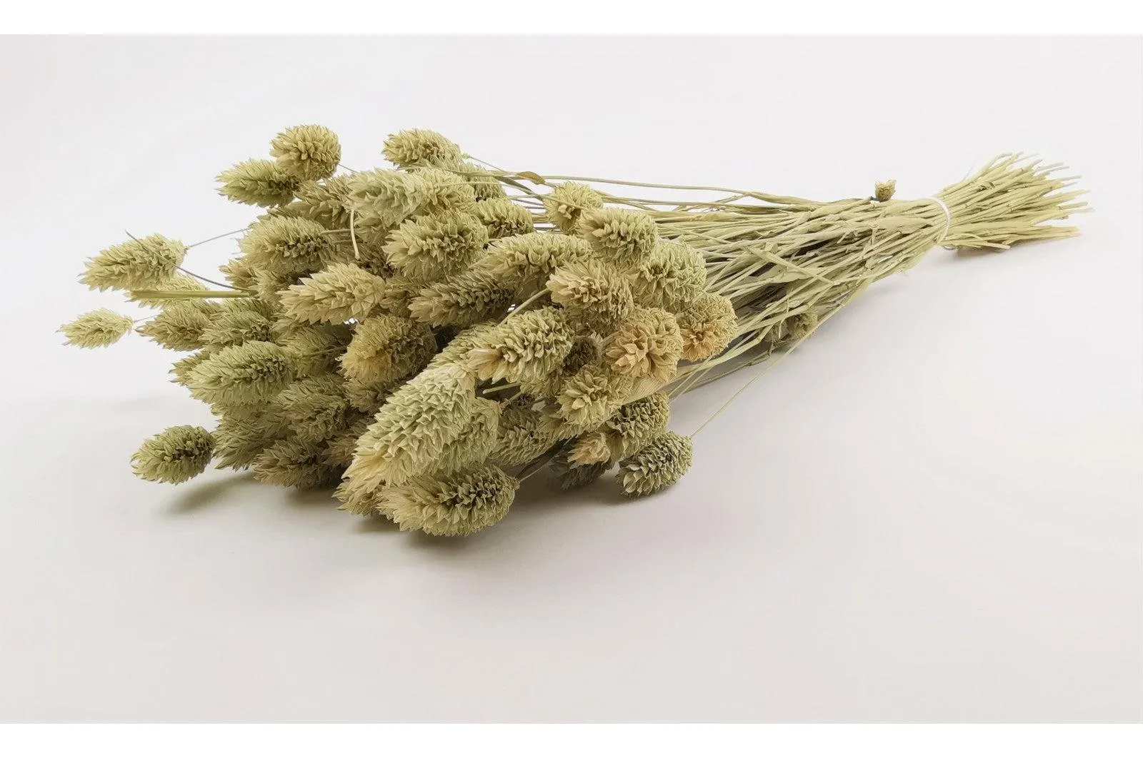 Italian Natural Phalaris Bouquet