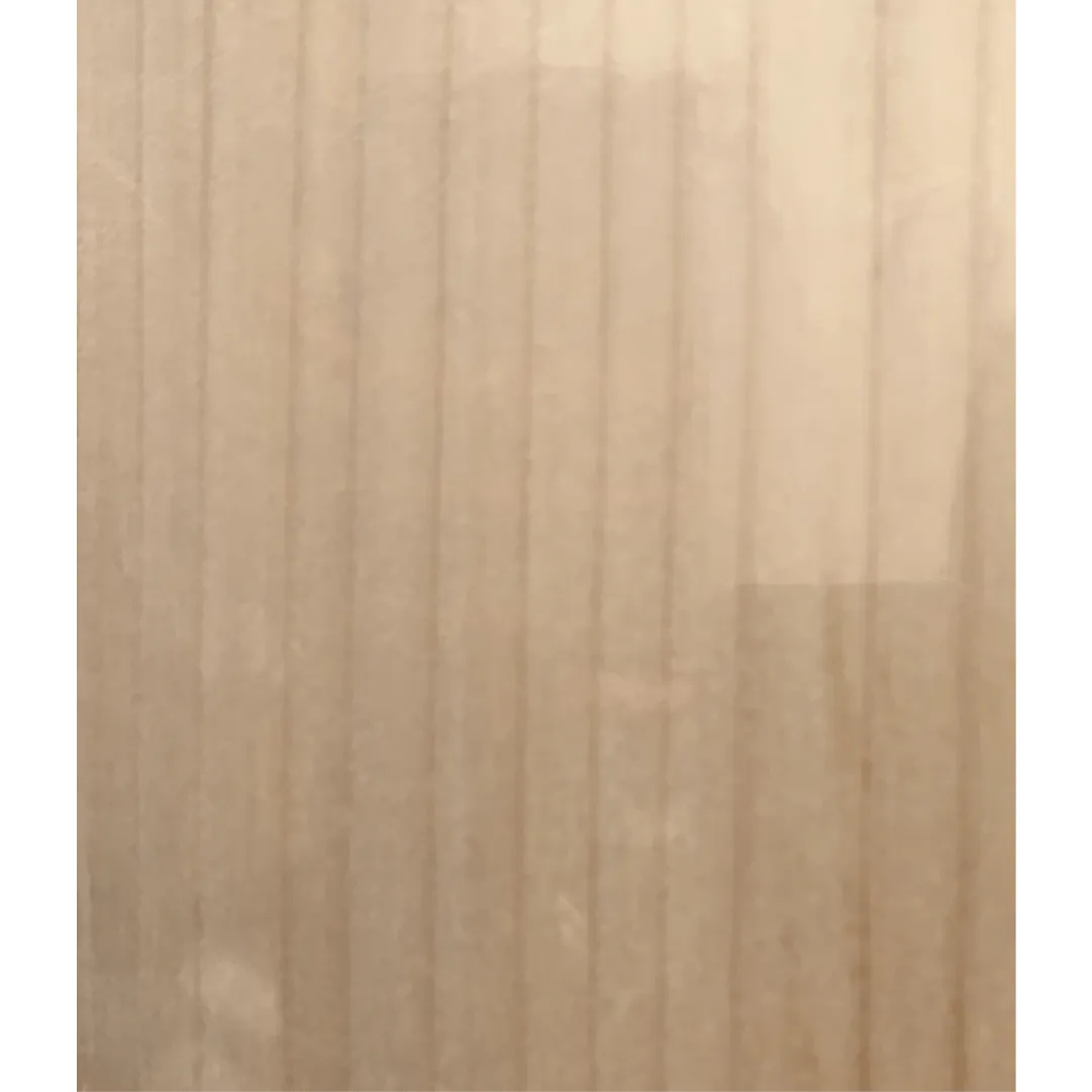 SS Ton Players Edition Cricket Bat Senior