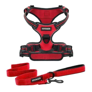 Valentine Dual-Attachment Harness & Leash Set