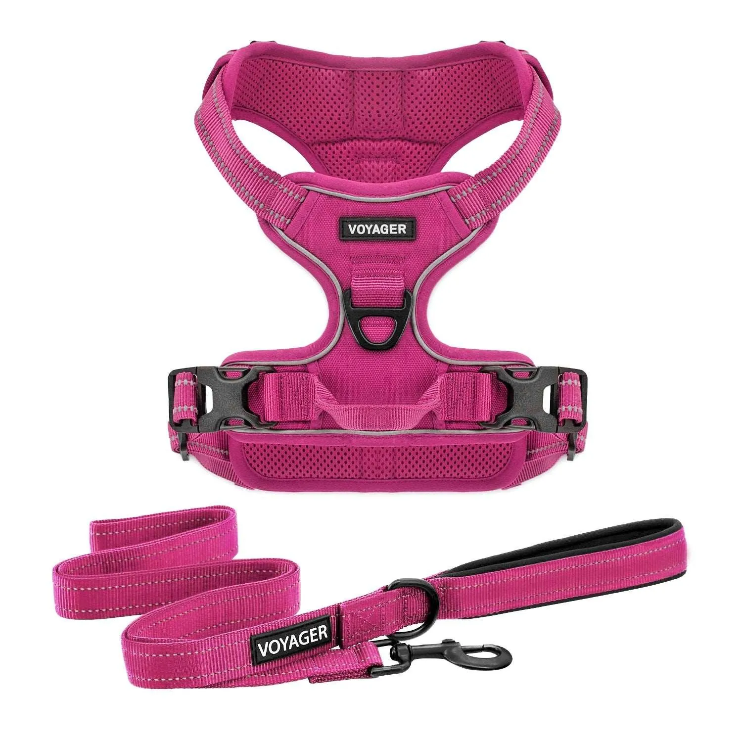 Valentine Dual-Attachment Harness & Leash Set