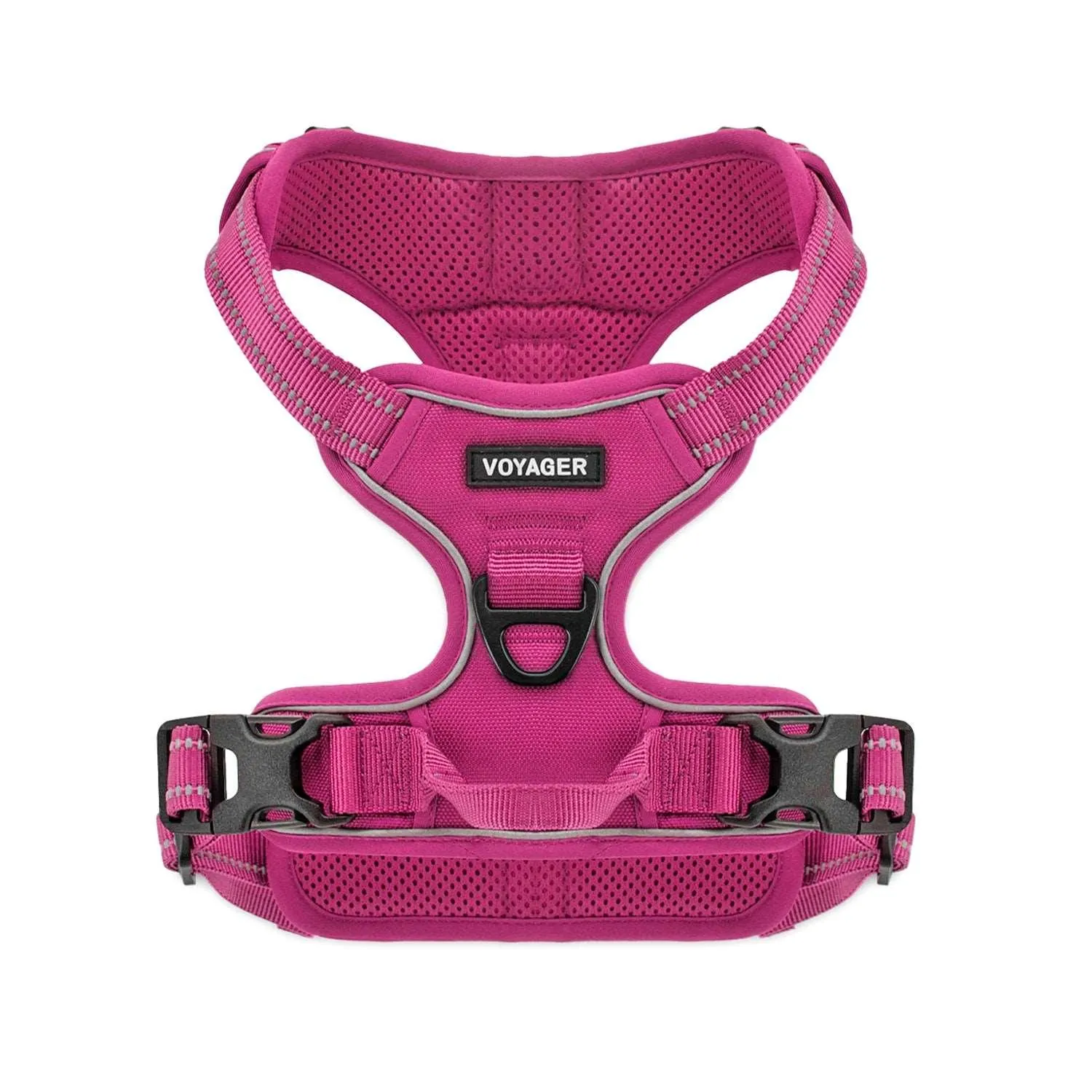 Valentine Dual-Attachment Harness & Leash Set